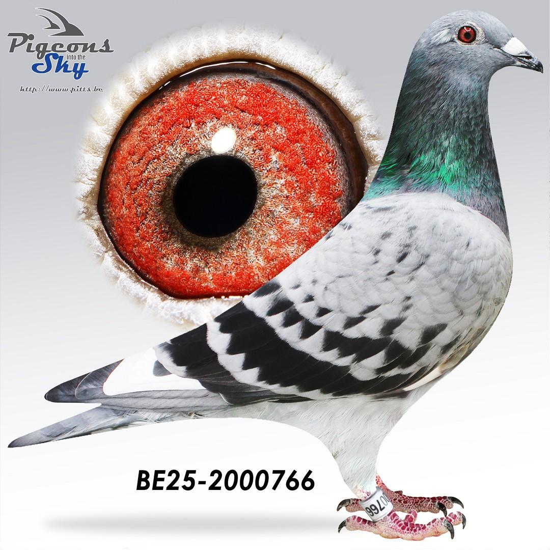 BE25-2000766
