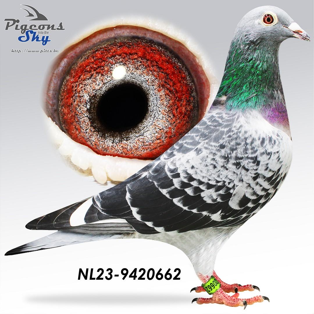 NL23-9420662