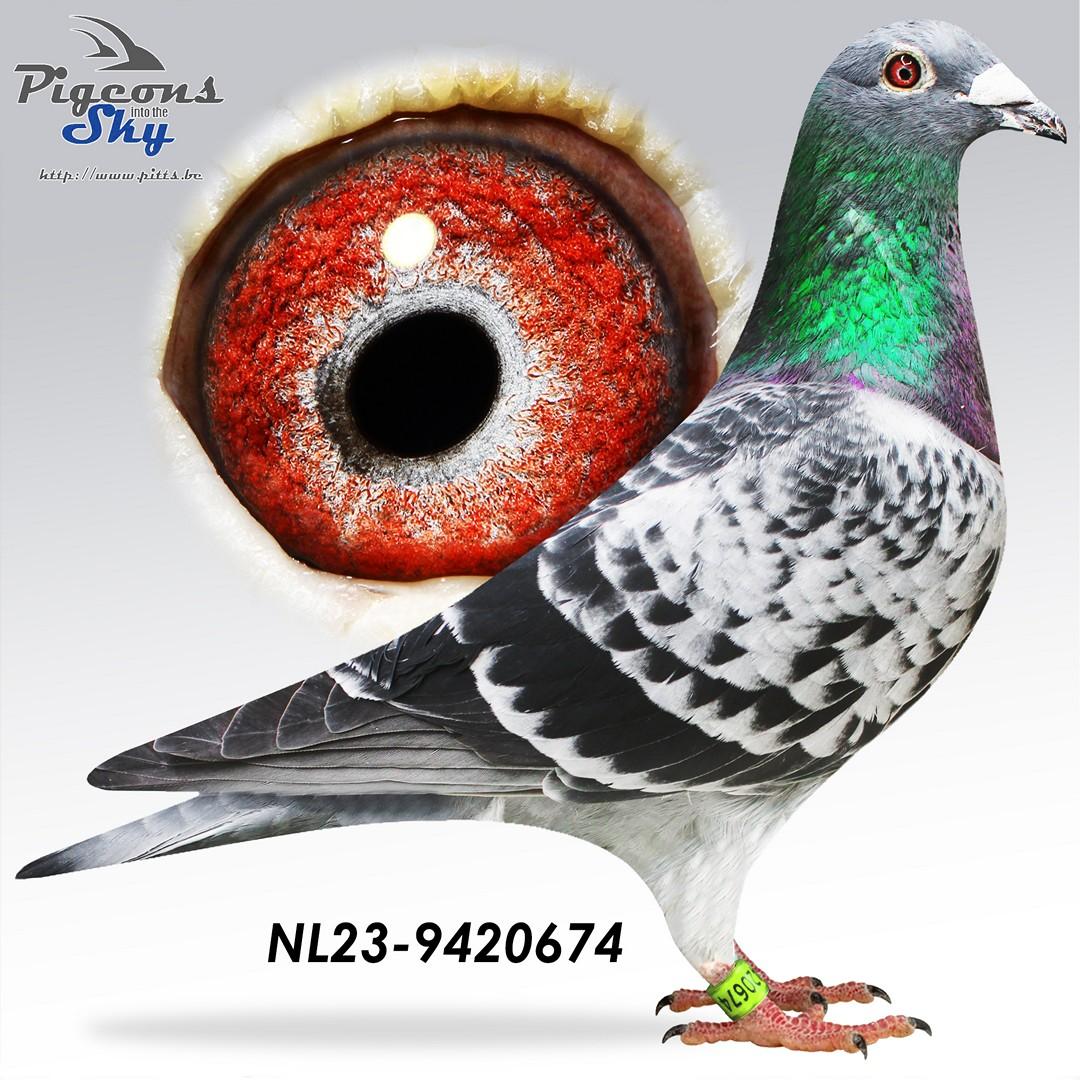 NL23-9420674
