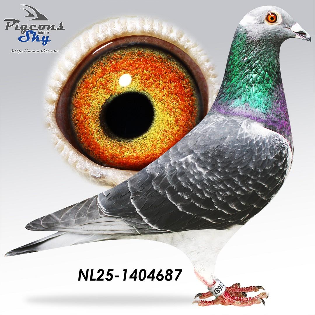 NL25-1404687