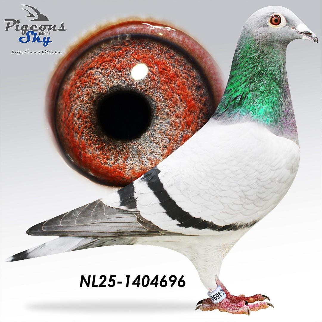 NL25-1404696