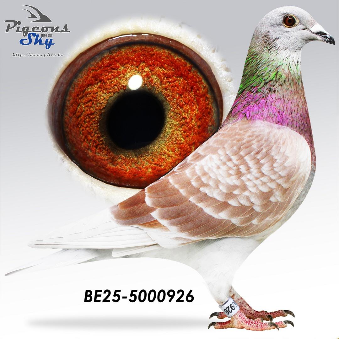 BE25-5000926