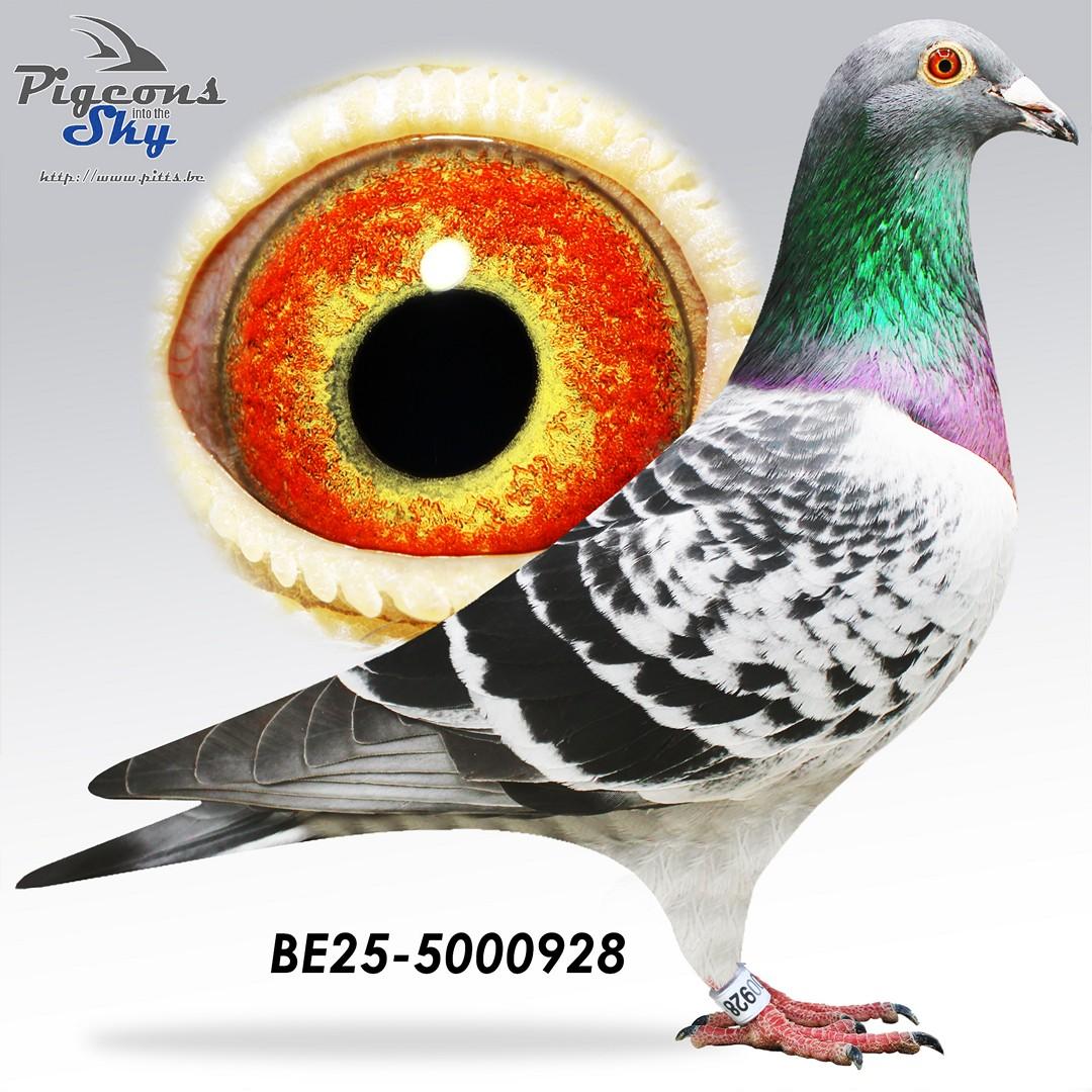 BE25-5000928