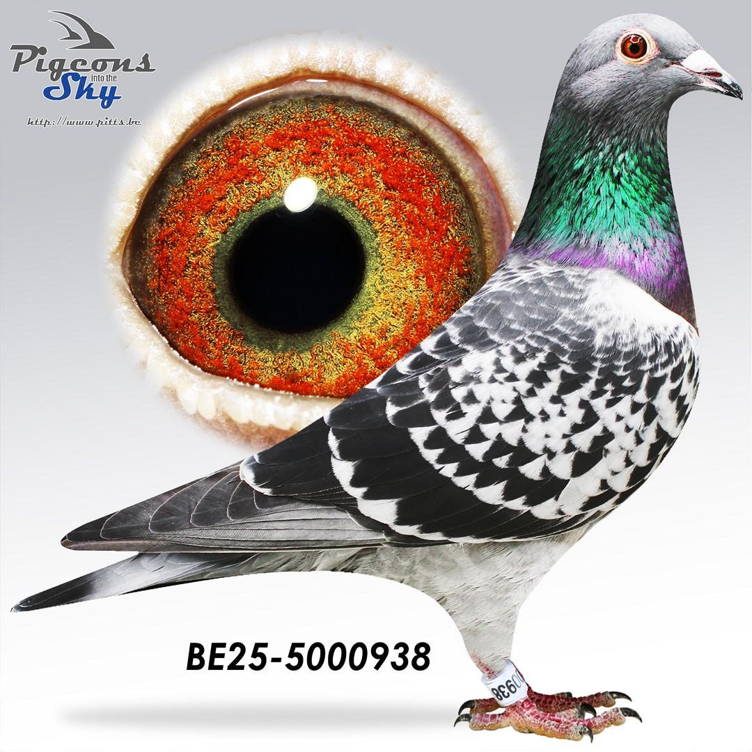 BE25-5000938