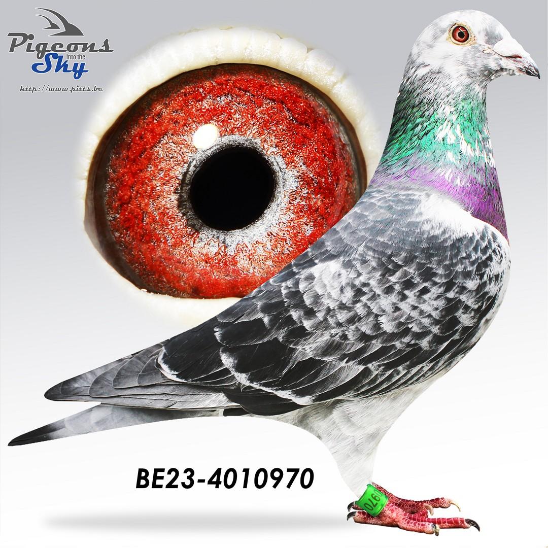 BE23-4010970