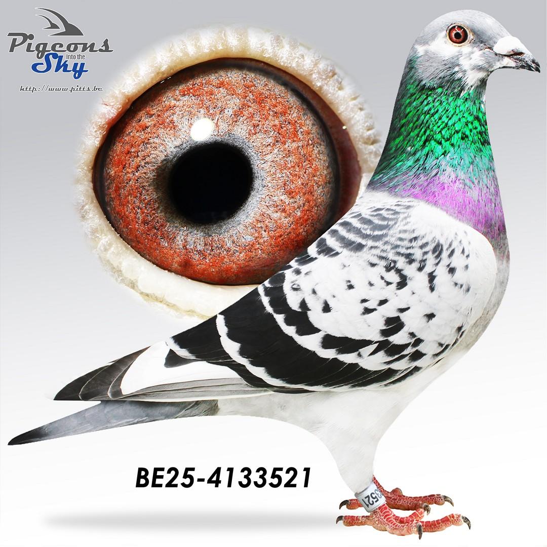 BE25-4133521