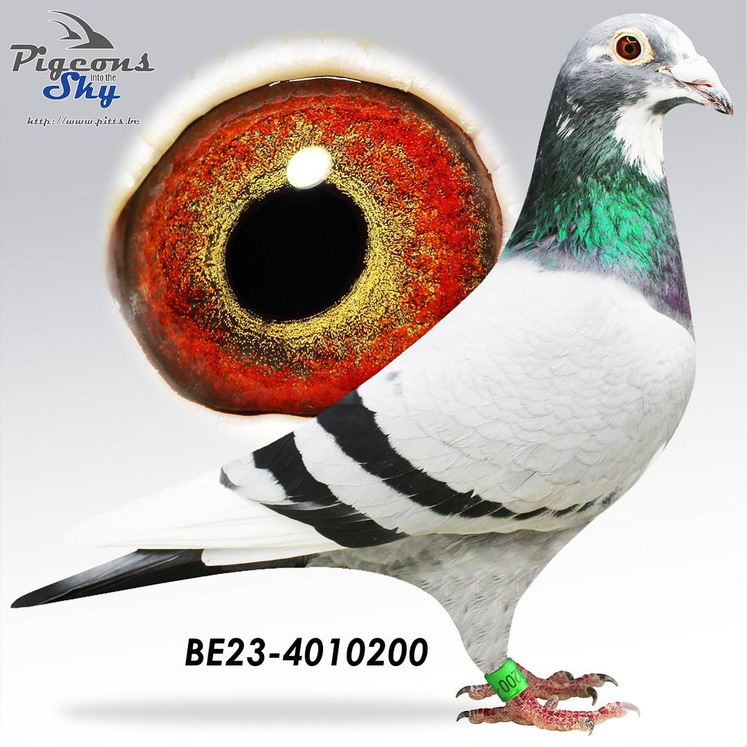 BE23-4010200