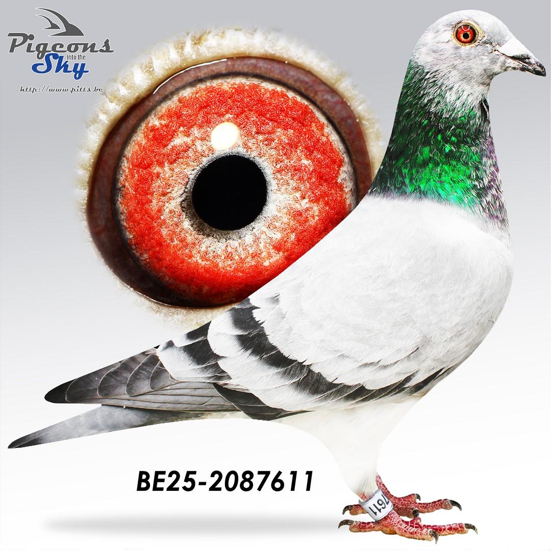BE25-2087611