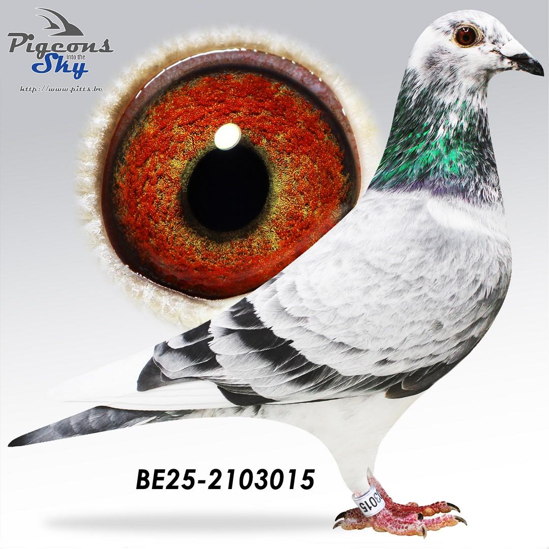 BE25-2103015