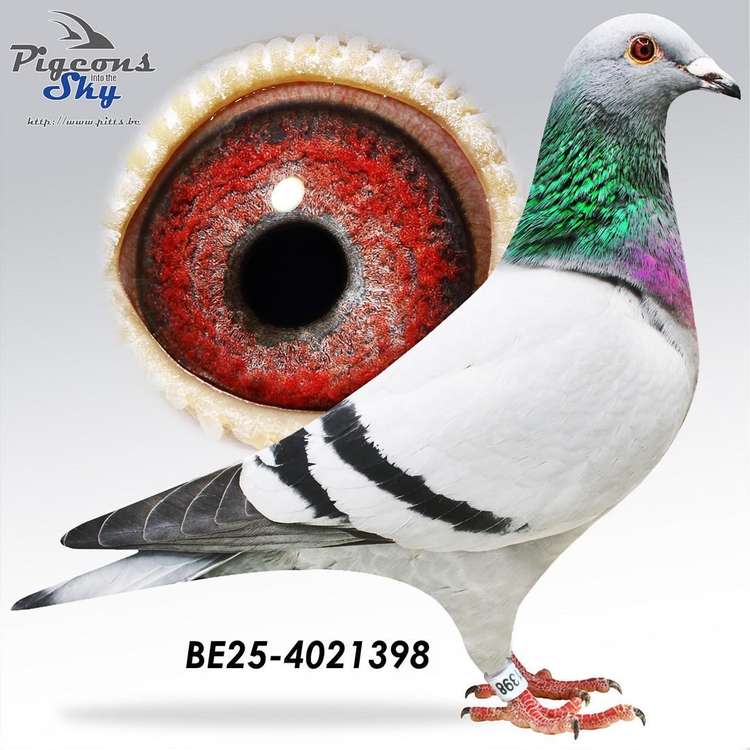 BE25-4021398