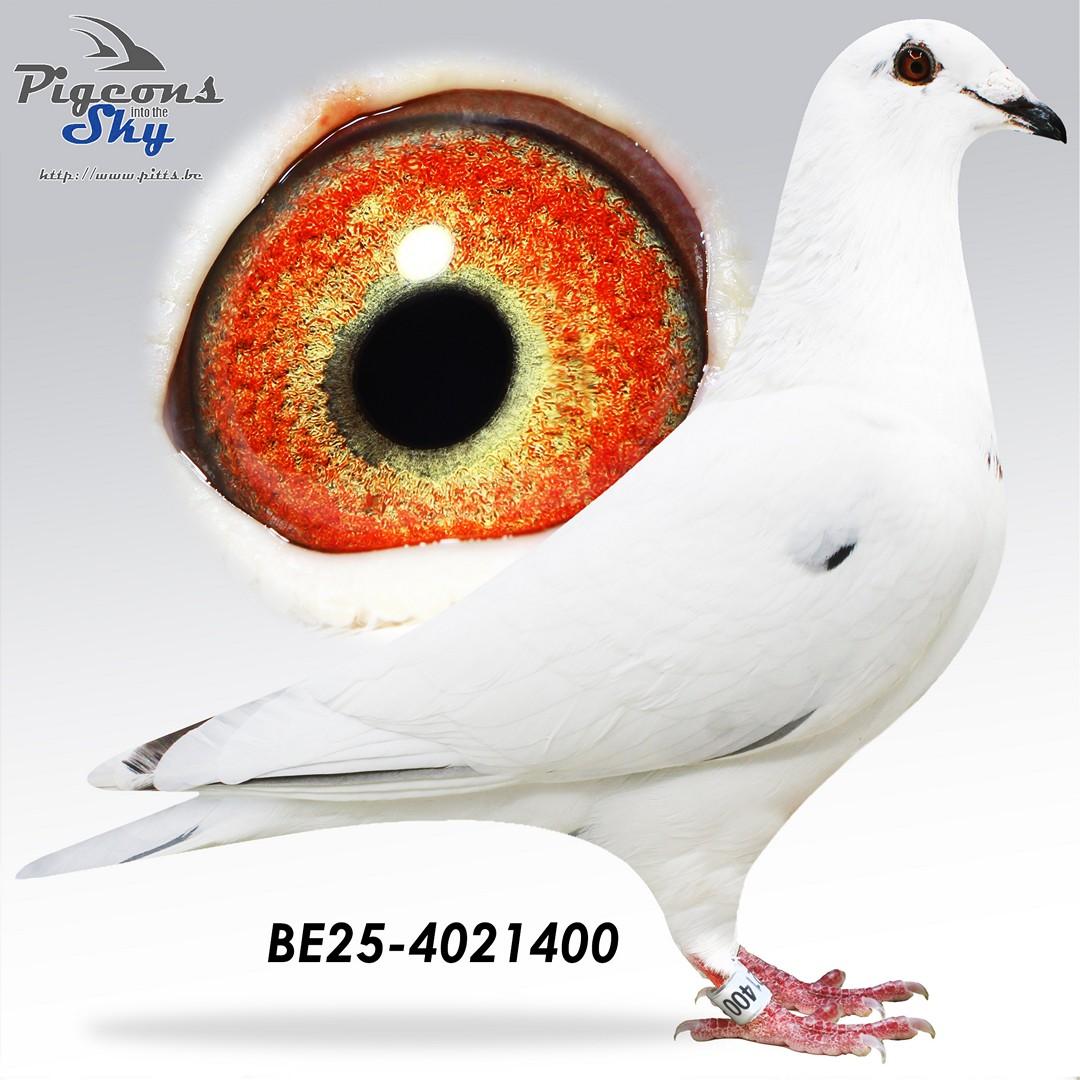 BE25-4021400