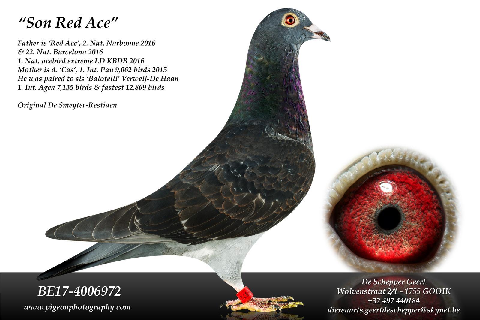 de schepper geert foto vader bon