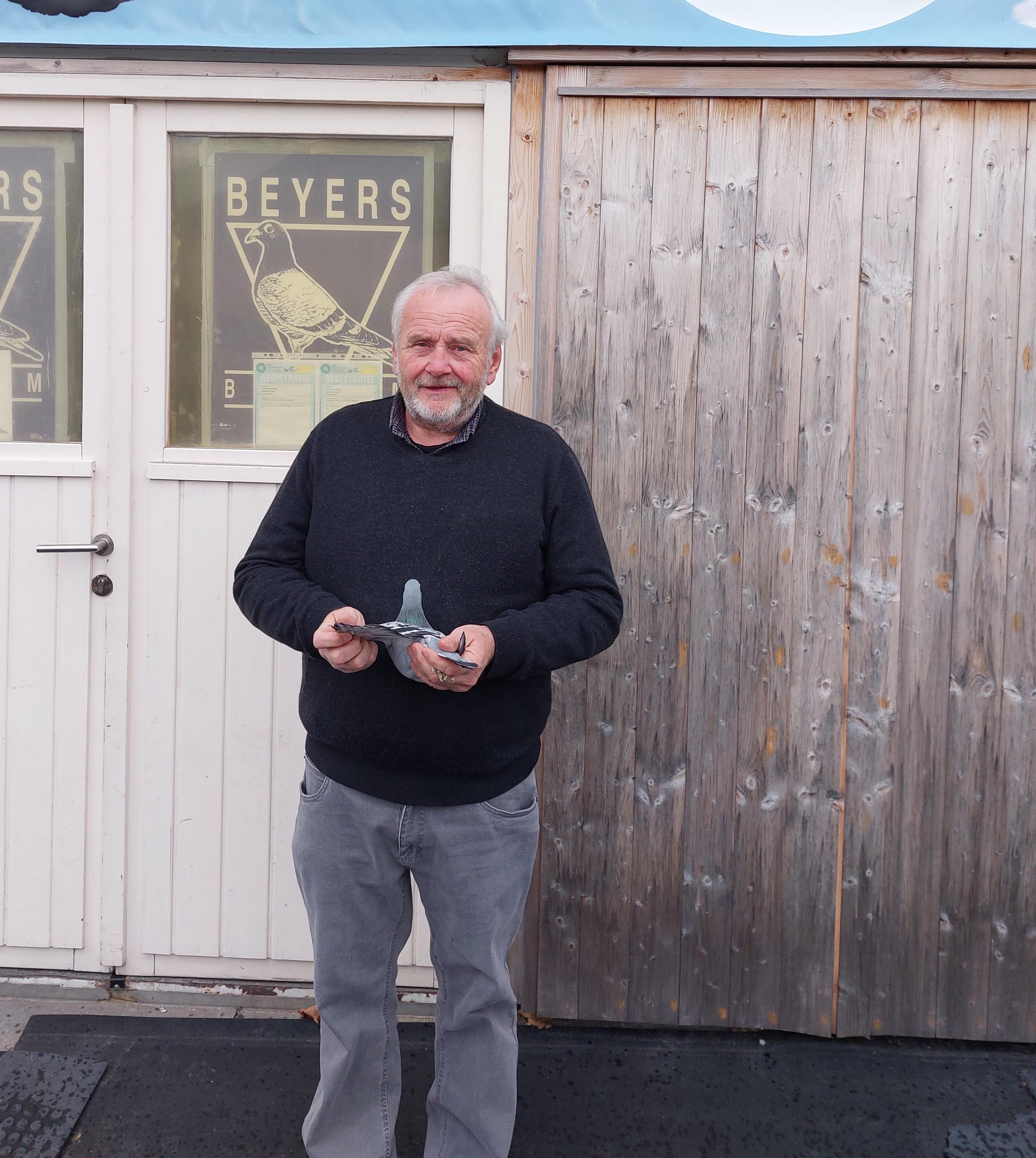 Dedobbeleer Dirk (Herne) zomerjong 24 duif ter plaatse