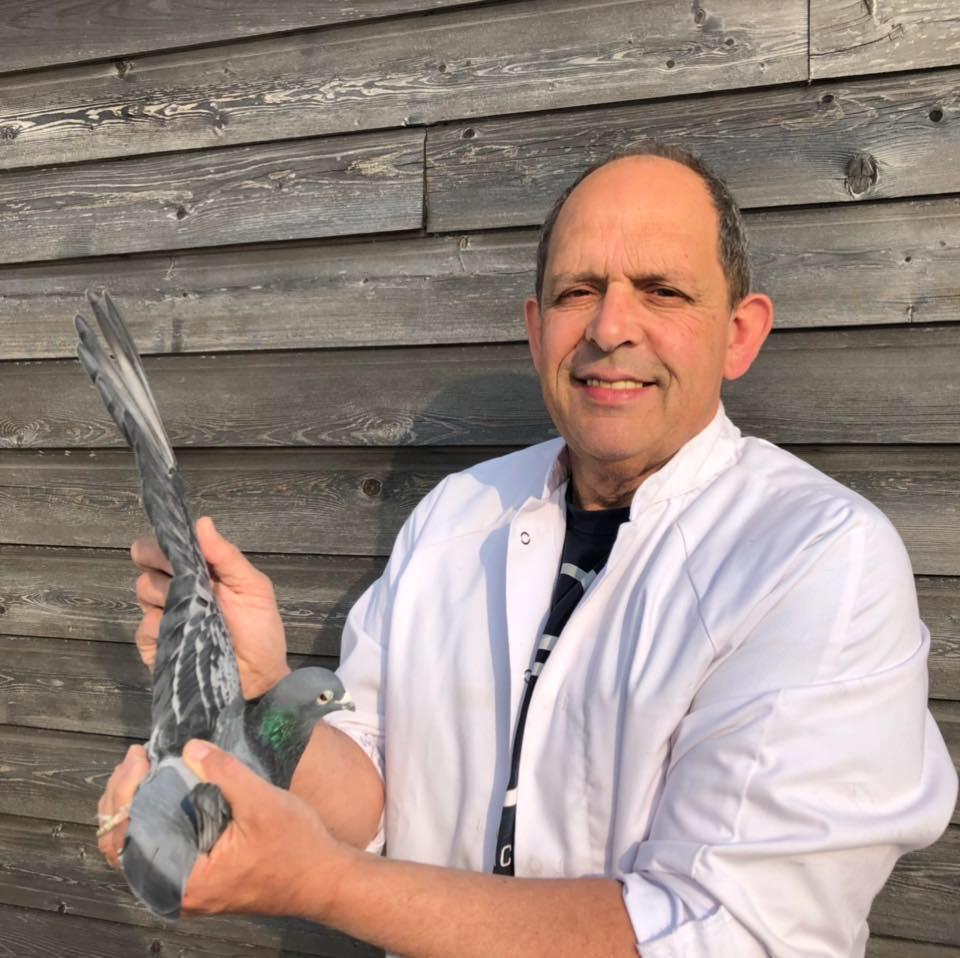 De Schepper Geert (Gooik) duif ter plaatse