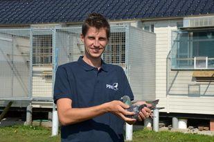 De Maeseneer Philip ( Denderwindeke ) 2 jonge op afspraak