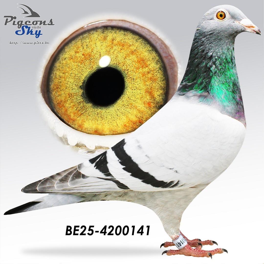 BE25-4200141