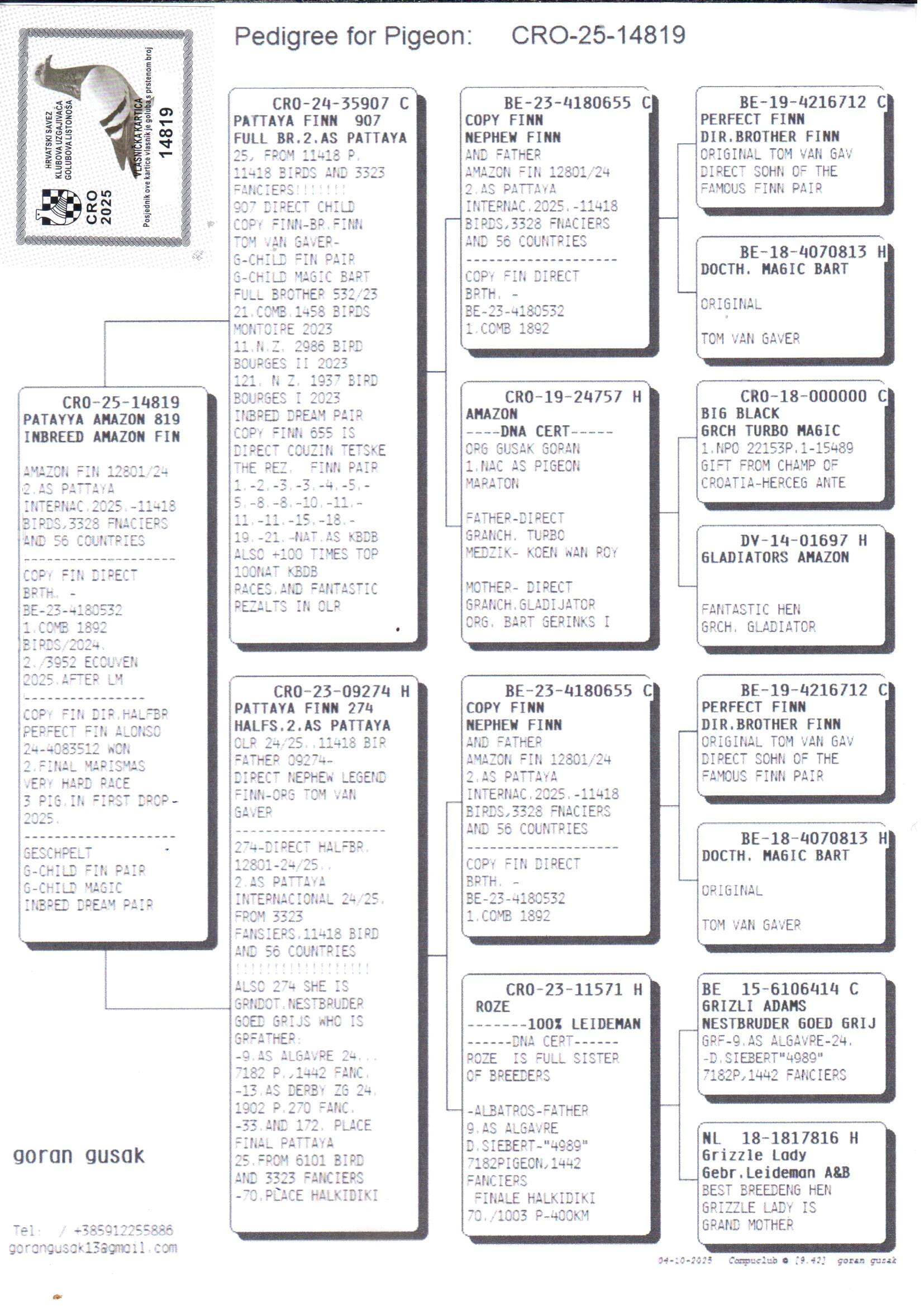 pedigree Pattaya Amazon 819 - Original Goran Gusak