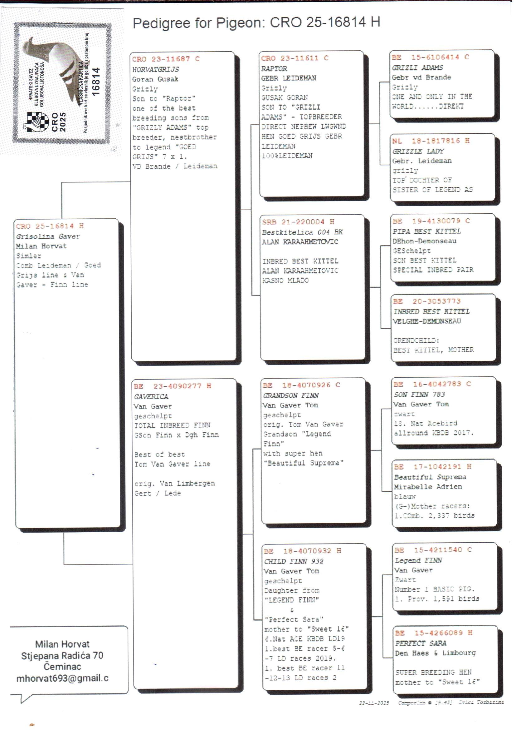pedigree Grisolina Gaver - Original Milan Horvat