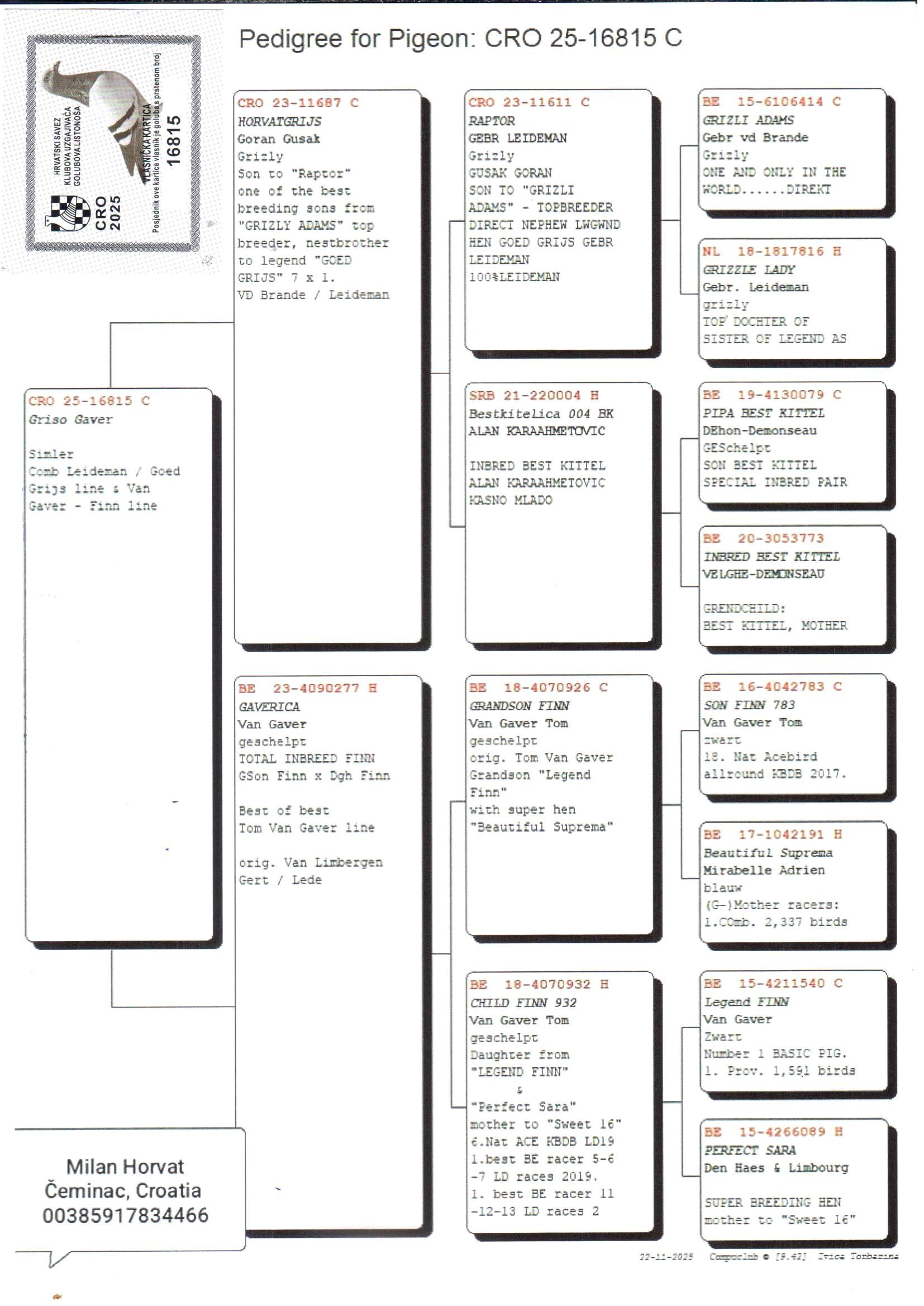 pedigree Griso Gaver - Original Milan Horvat