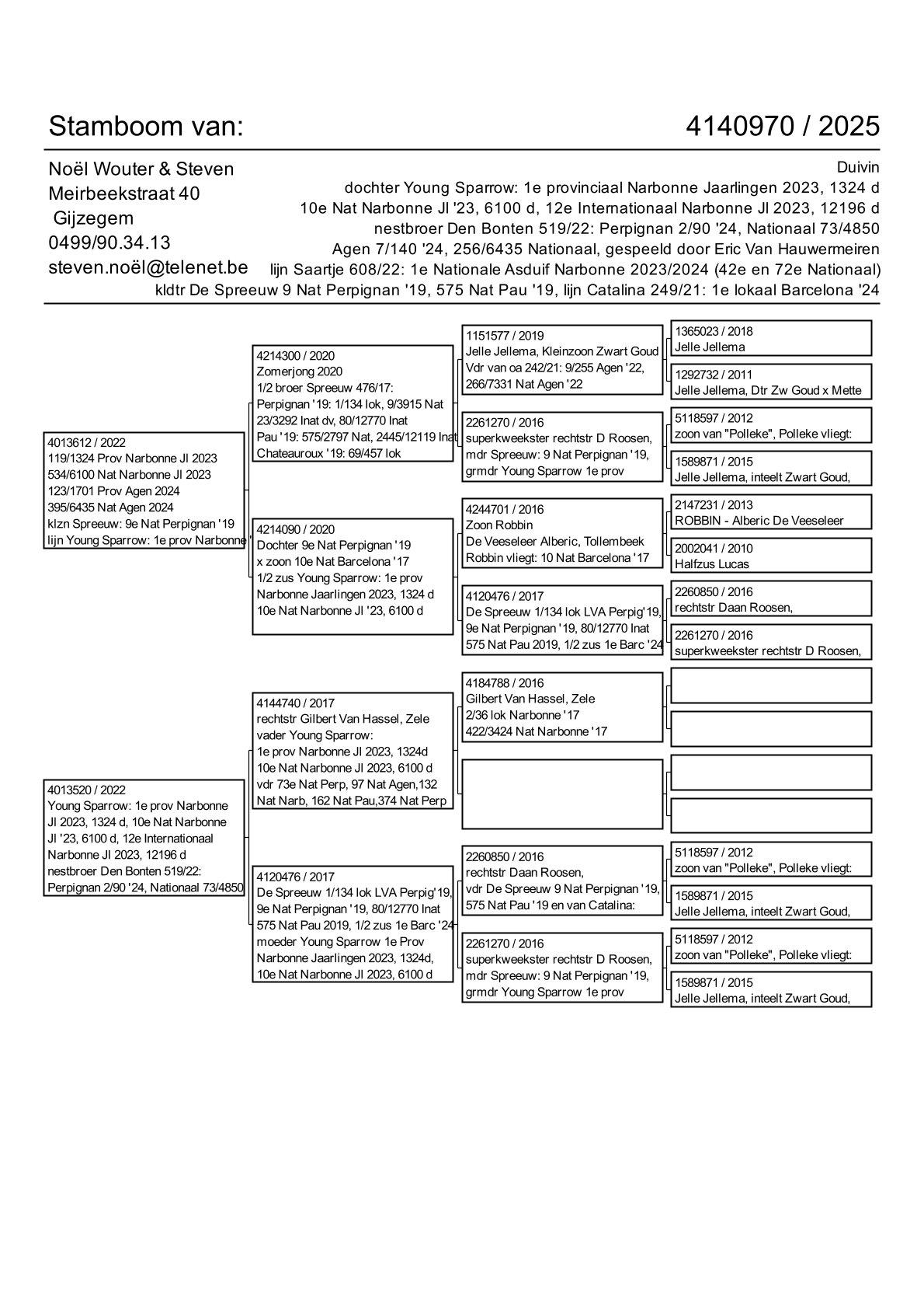 pedigree dochter Young Sparrow: 1e provinciaal Narbonne Jaarlingen 2023 