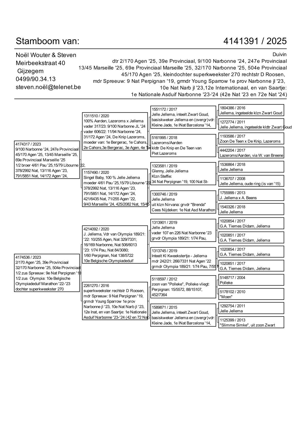 pedigree dochter 2/170 Agen '25, 39e Provinciaal Agen '25, 69e Provinciaal Marseille '25