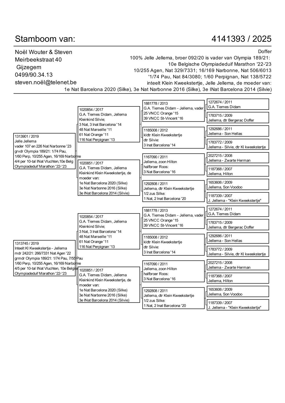 pedigree 100% J. Jellema, broer 092/20 is vader van 10e Belgische Olympiadeduif Marathon '22-'23 