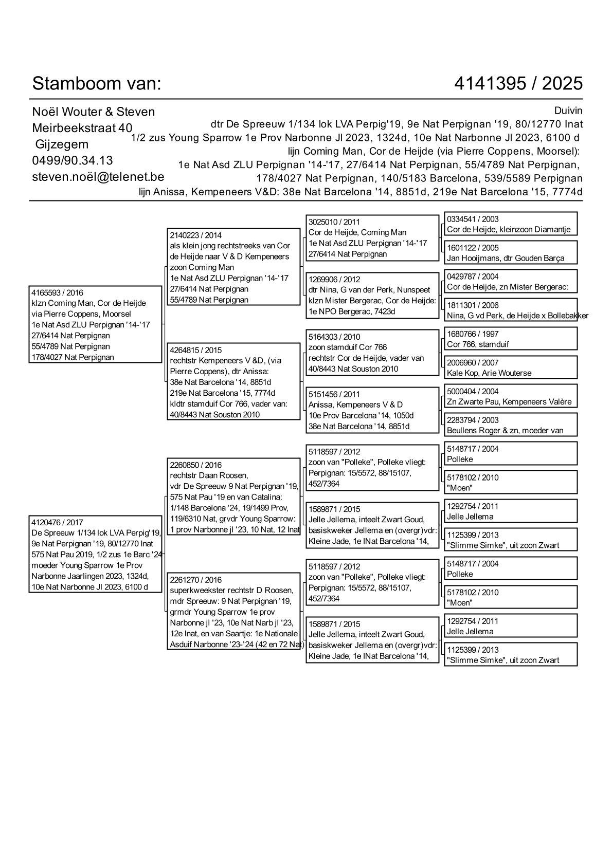 pedigree 1/2 zus Young Sparrow 1e Prov Narbonne Jl 2023,  lijn Coming Man, Cor de Heijde 