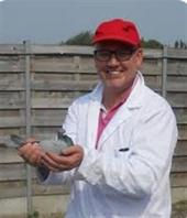 SEYNAEVE ANDY Gullegem - jong op afspraak