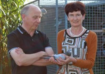 BILLIET YVES Moorslede - jong op afspraak