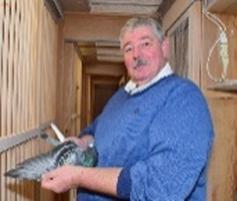 GAQUIERE FRANCIS Waasten - koppel eieren