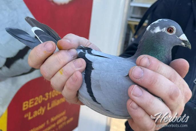 DEMELY LILIANE Moorsele - jong op afspraak - Familie