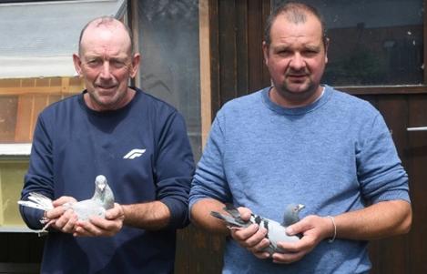 DERYCKE GEERT & WANNES Mesen - op afspraak