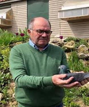 DONCK GUIDO Geluwe - jong op afspraak