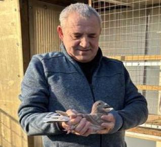 RAMBOUR GINO Houthulst - jong op afspraak