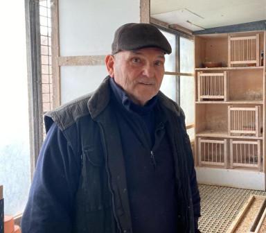 65: Deneys Herman (B'Lombeek) - ZOMER-jong '25 uit te kiezen uit 10 tal duiven op het hok