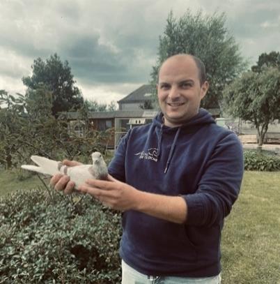 MOLLEN NIELS Geluwe - op afspraak