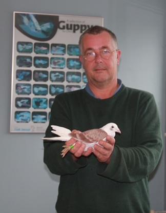 BRUNEEL LODE Oostnieuwkerke - jong op afspraak