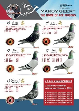 MAROY GEERT  Heestert - 2 Jongen 2° Ronde Kwekers - Familie