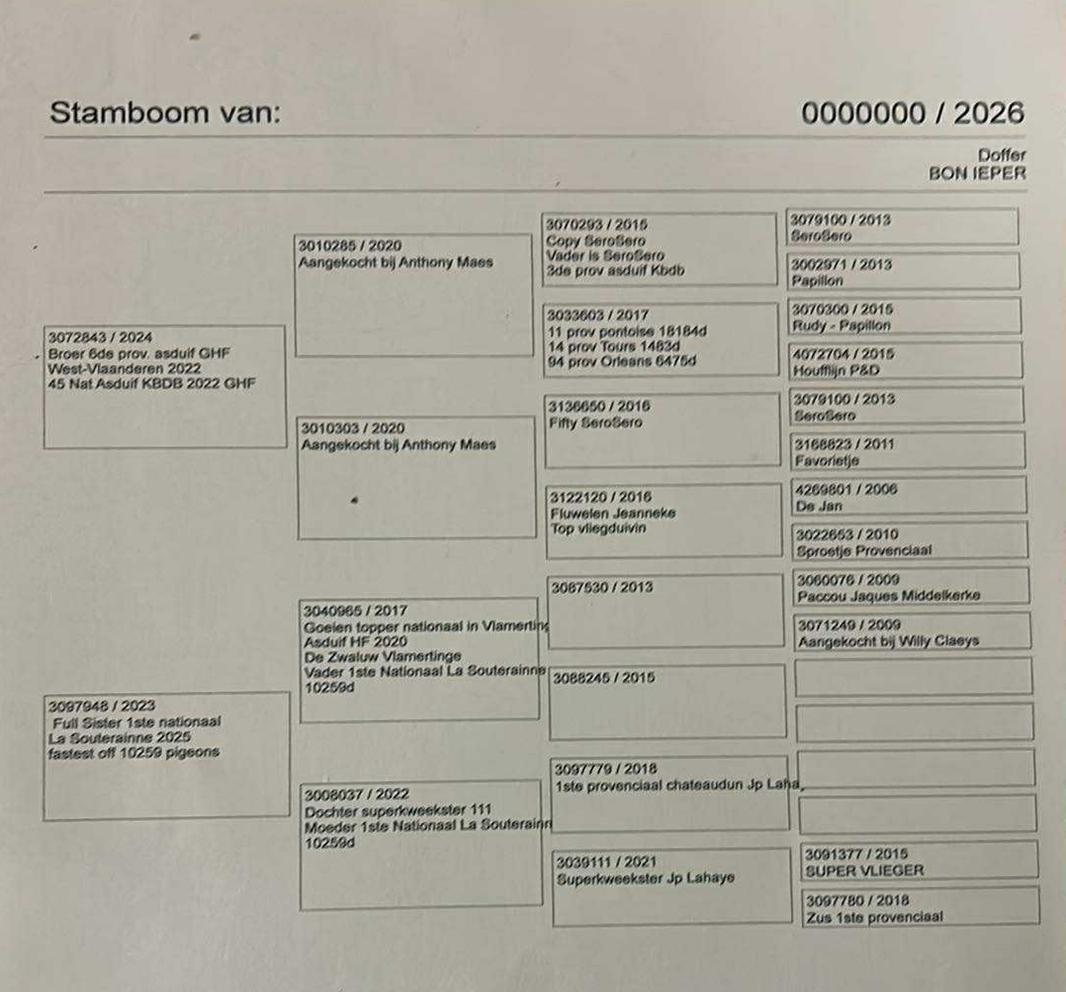 pedigree VANDROMME DIETER Reningelst - jong uit zus 1°Nat.La Souterraine 
