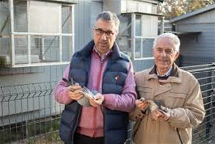 TEAM BODDAERT Oostkamp/Hamme - jong op afspraak