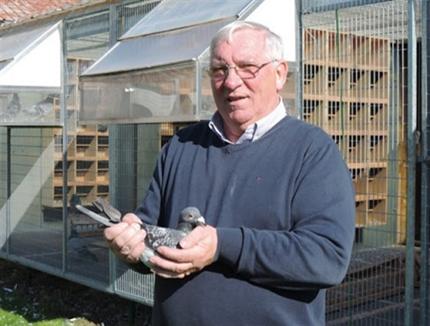 VANDEMAELE WILFRIED Heule - op afspraak