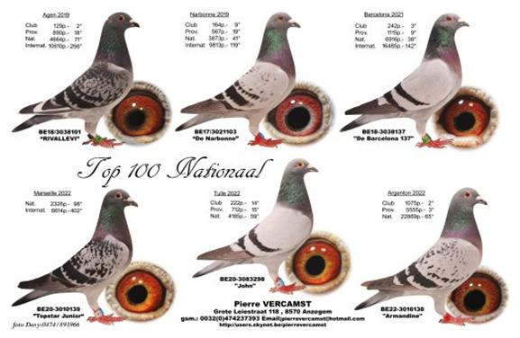 VERCAMST PIERRE  Anzegem - op afspraak - Familie