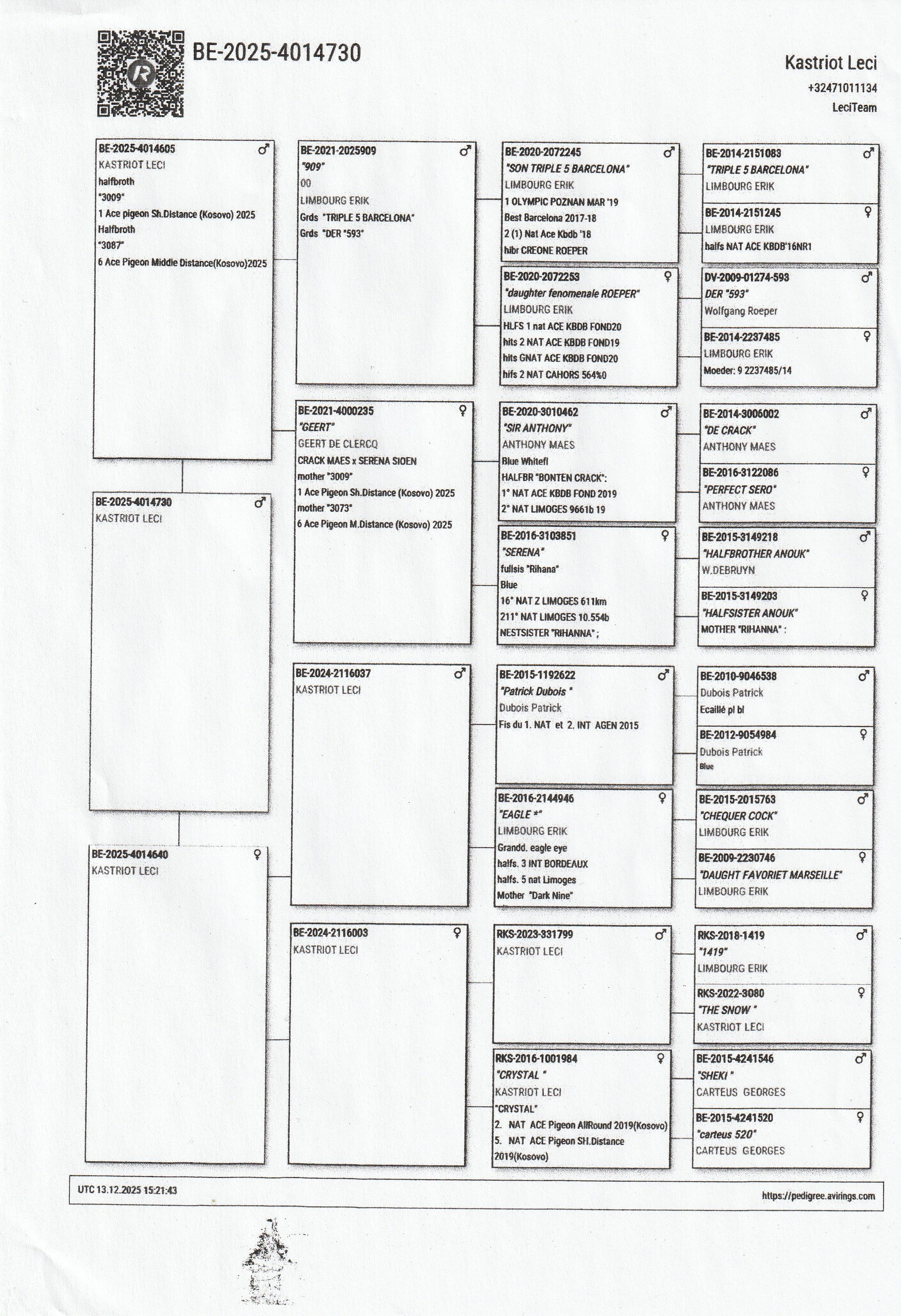 pedigree Kastriot Leci	(Meldert ) schenkt een duif ter plaatse.