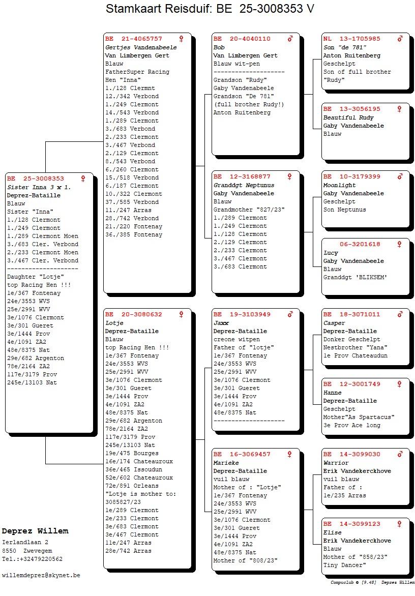 pedigree Sister Inna 3x 1