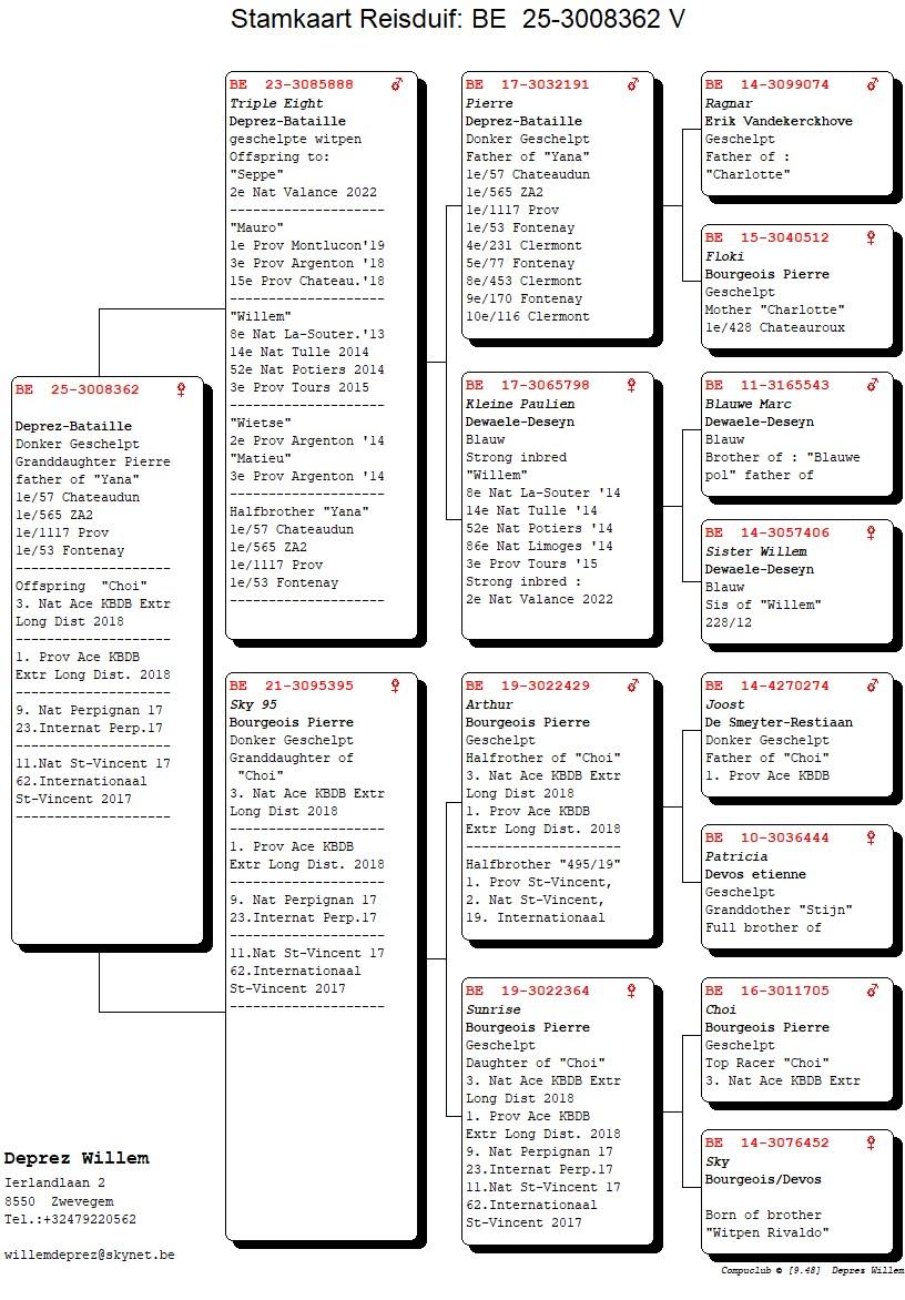 pedigree Triple Eight x Sky 95