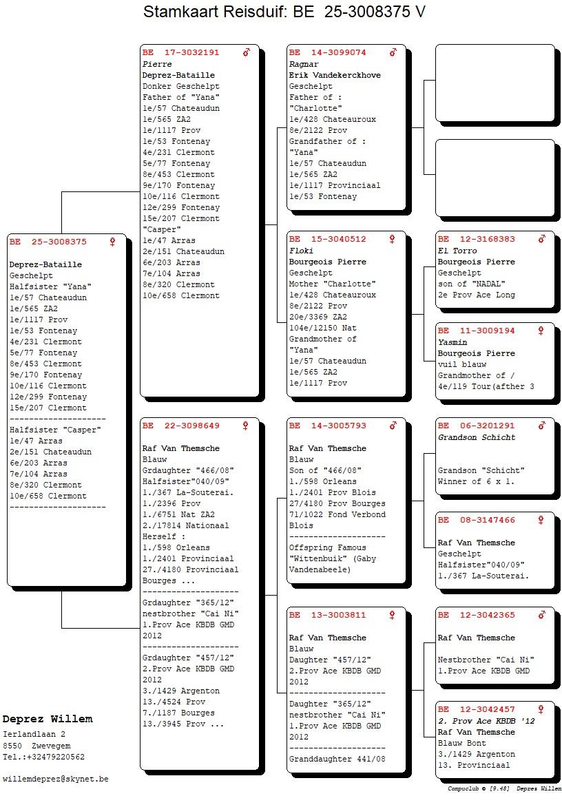 pedigree Pierre x 649