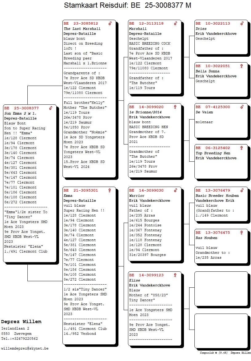 pedigree Son Emma 2x 1