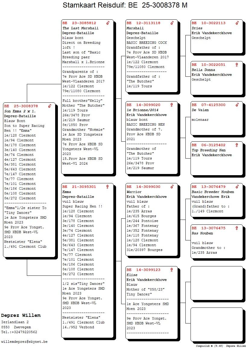 pedigree Son Emma 2x 1
