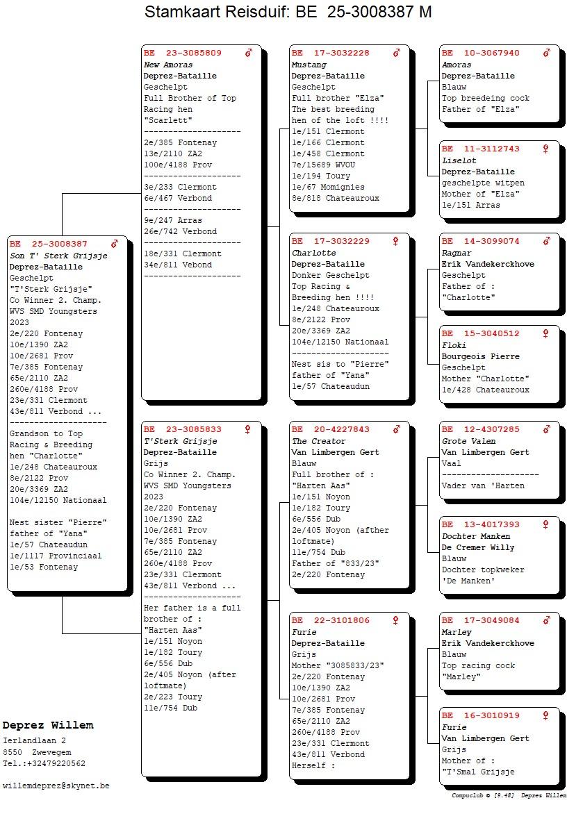 pedigree Son T' Sterk Grijsje