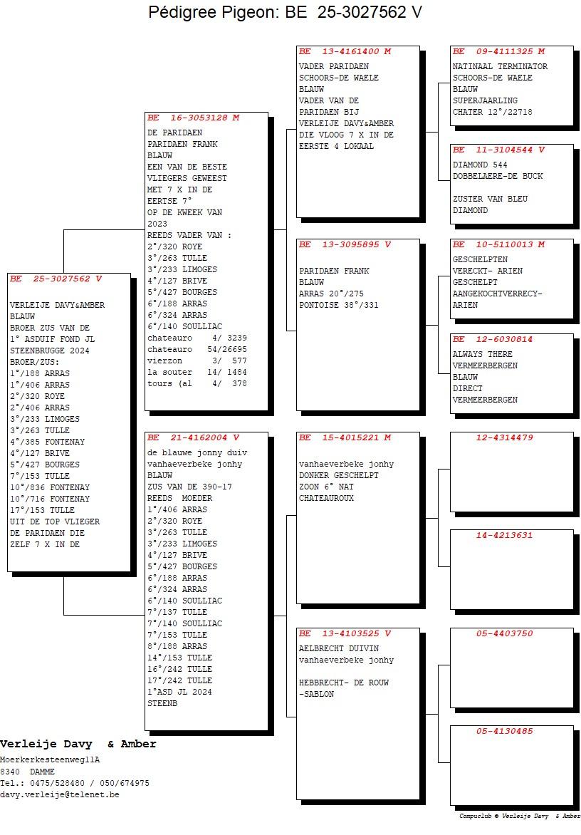 pedigree De Paridaen x Dochter Aelbrecht duivin 
